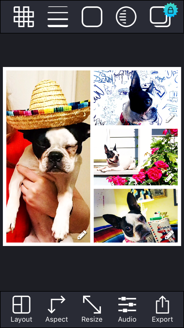 PicStitch_2.png