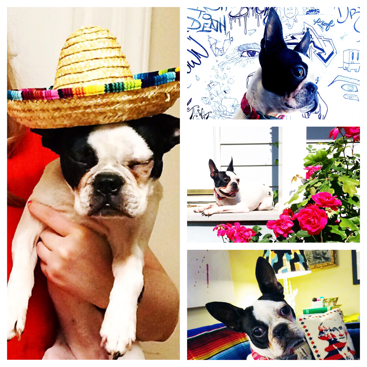 Pic_Stitch3.png